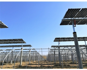 山东新泰20MWp全自动双备份跟踪器+双面组件